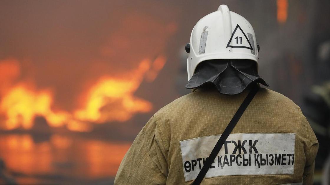 Қара Ертістің бойынан өрт шықты