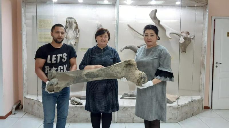 Жәдігерлер – 3D форматта