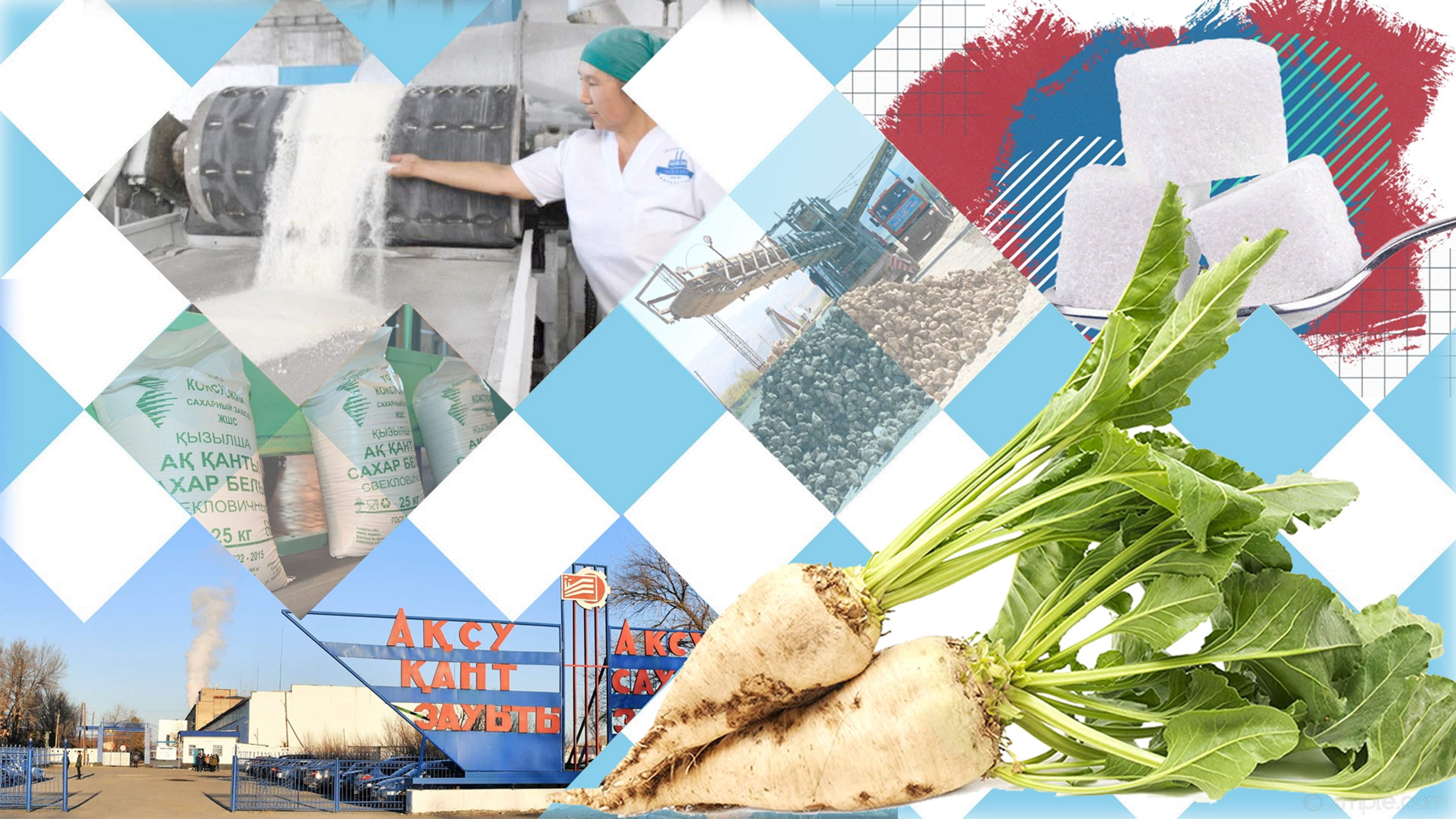 Қант зауыттарының қауқары