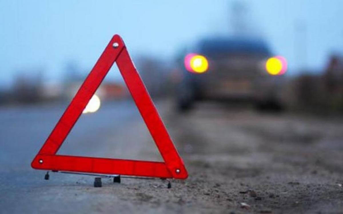 Жол үстіндегі қасірет