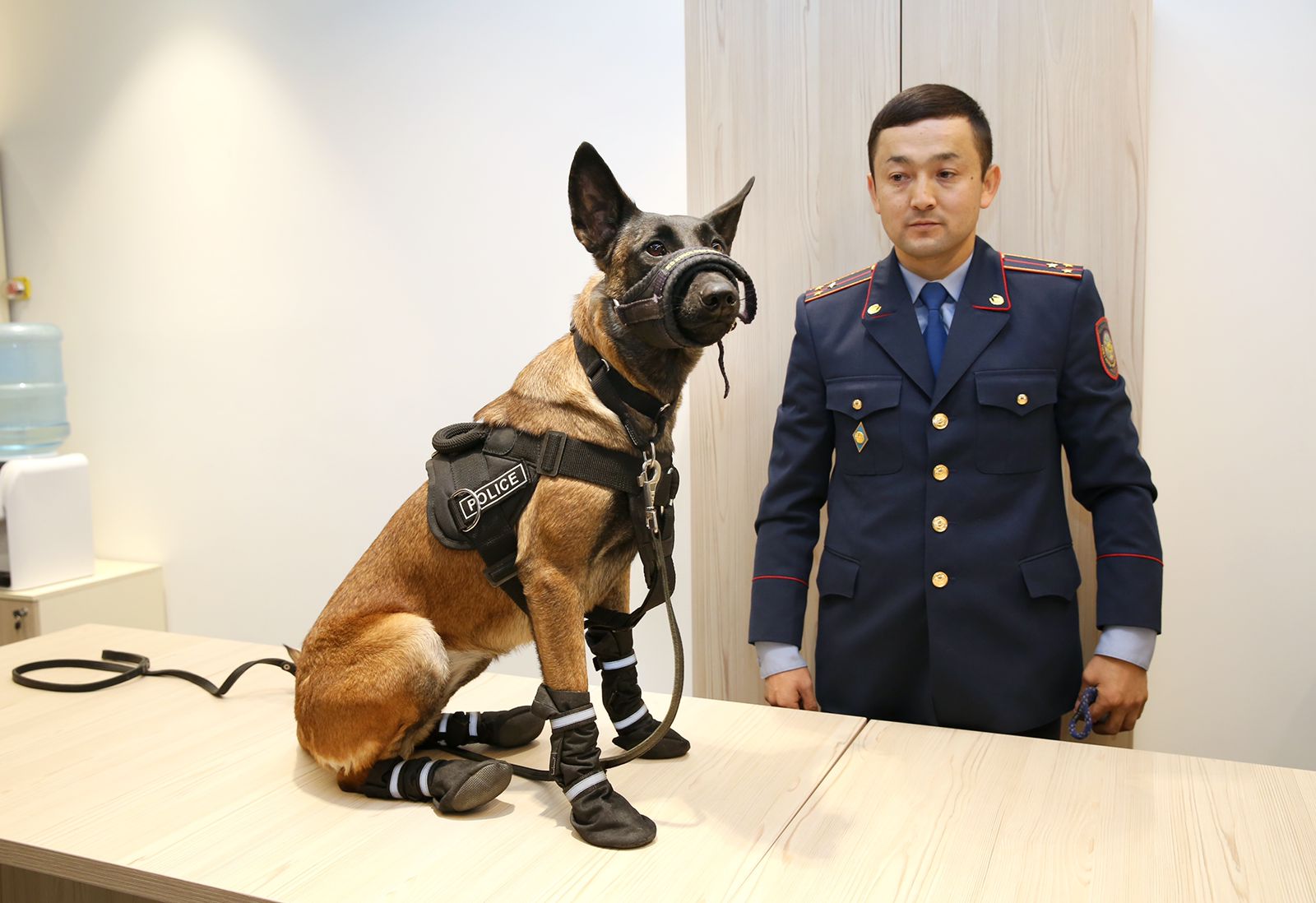 Қауіпсіздік қызметіндегі қырағы иттер