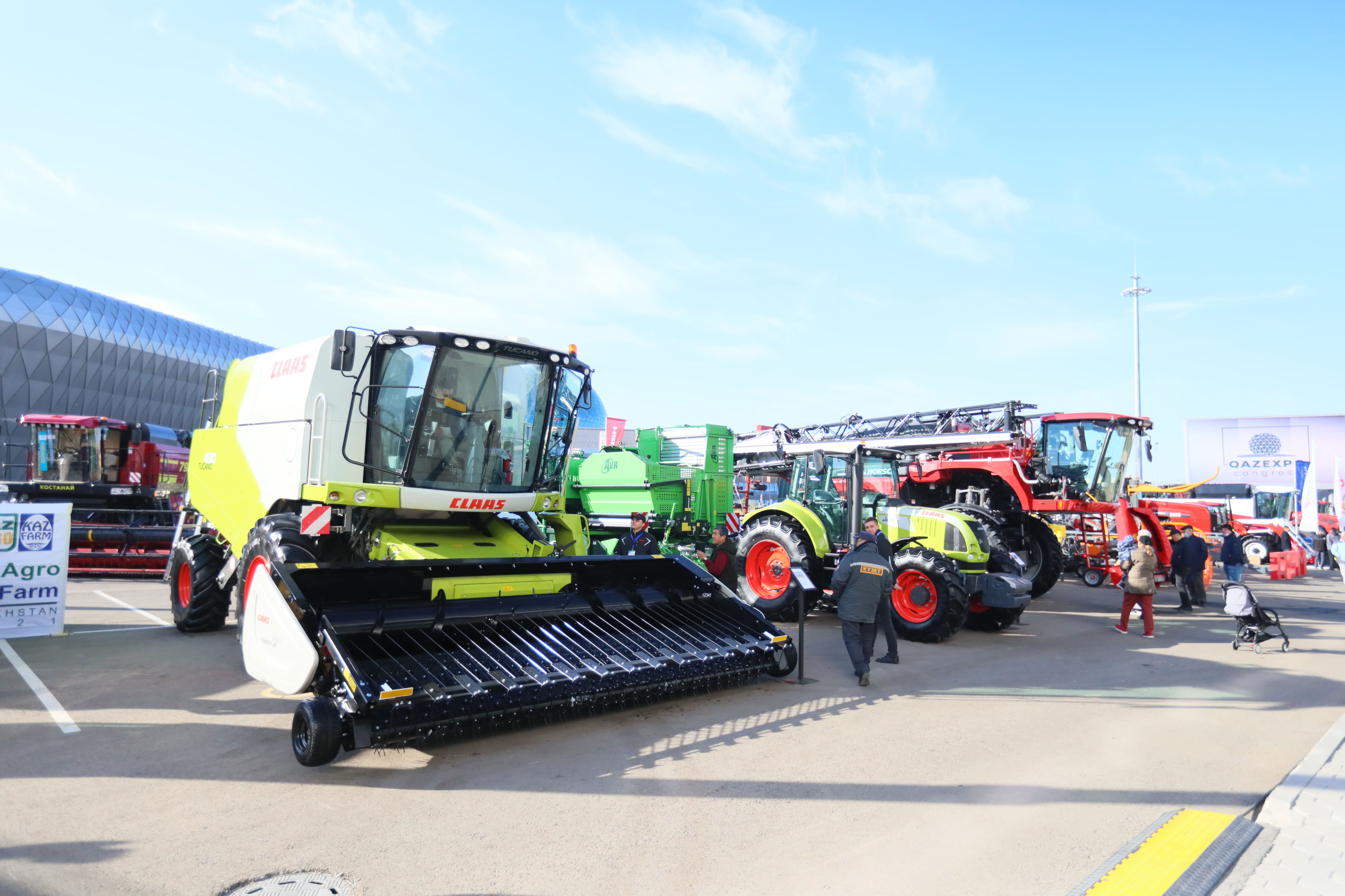 Бұқалар бәссаудасы