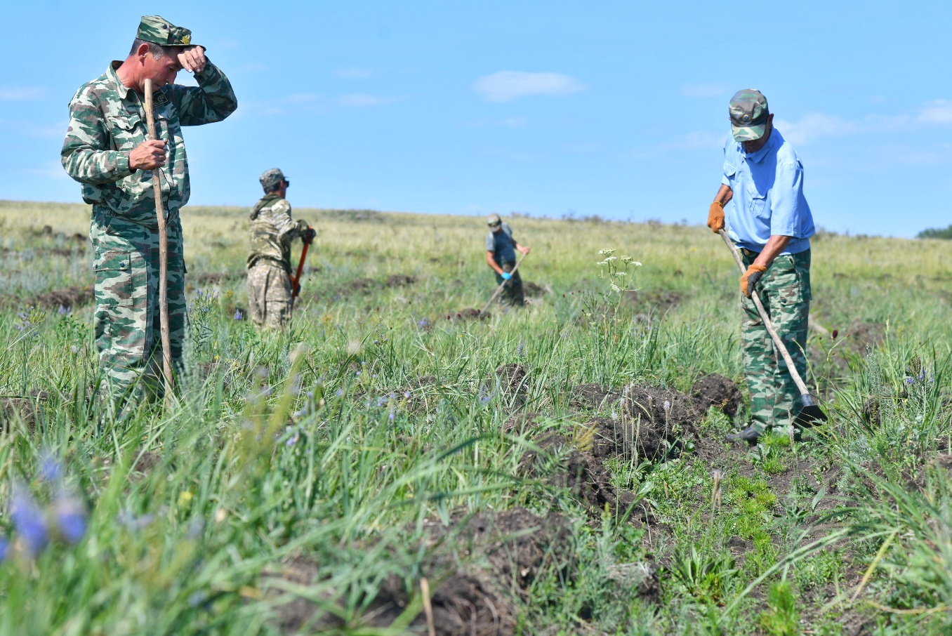 Жасыл орманымыз жайқалсын десек...