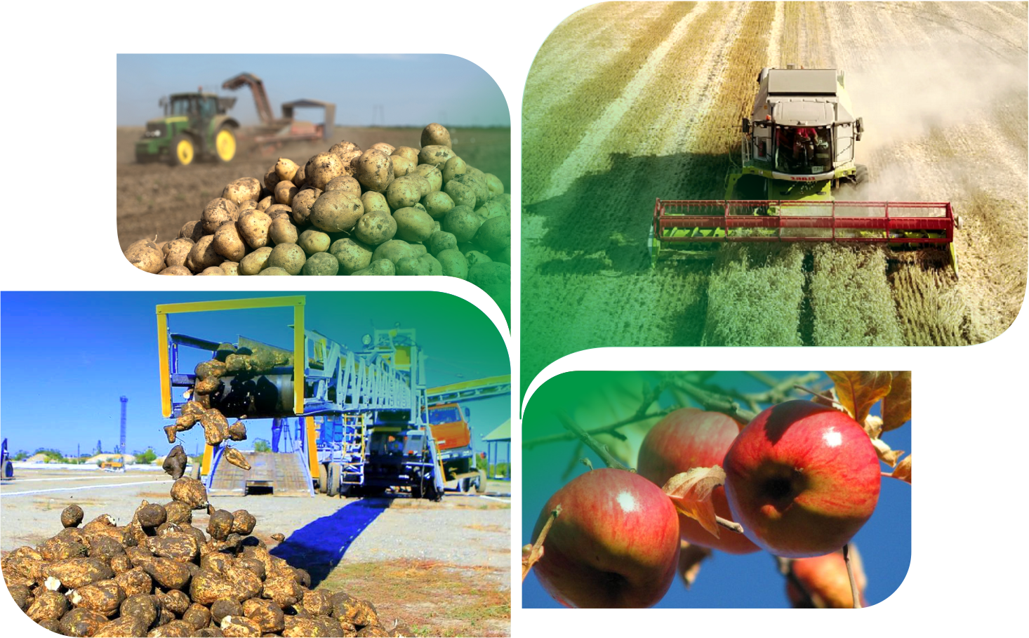 Қазан аузы жоғары