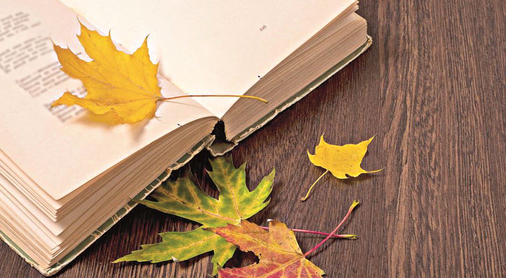 Жіліктің майындай жырлар