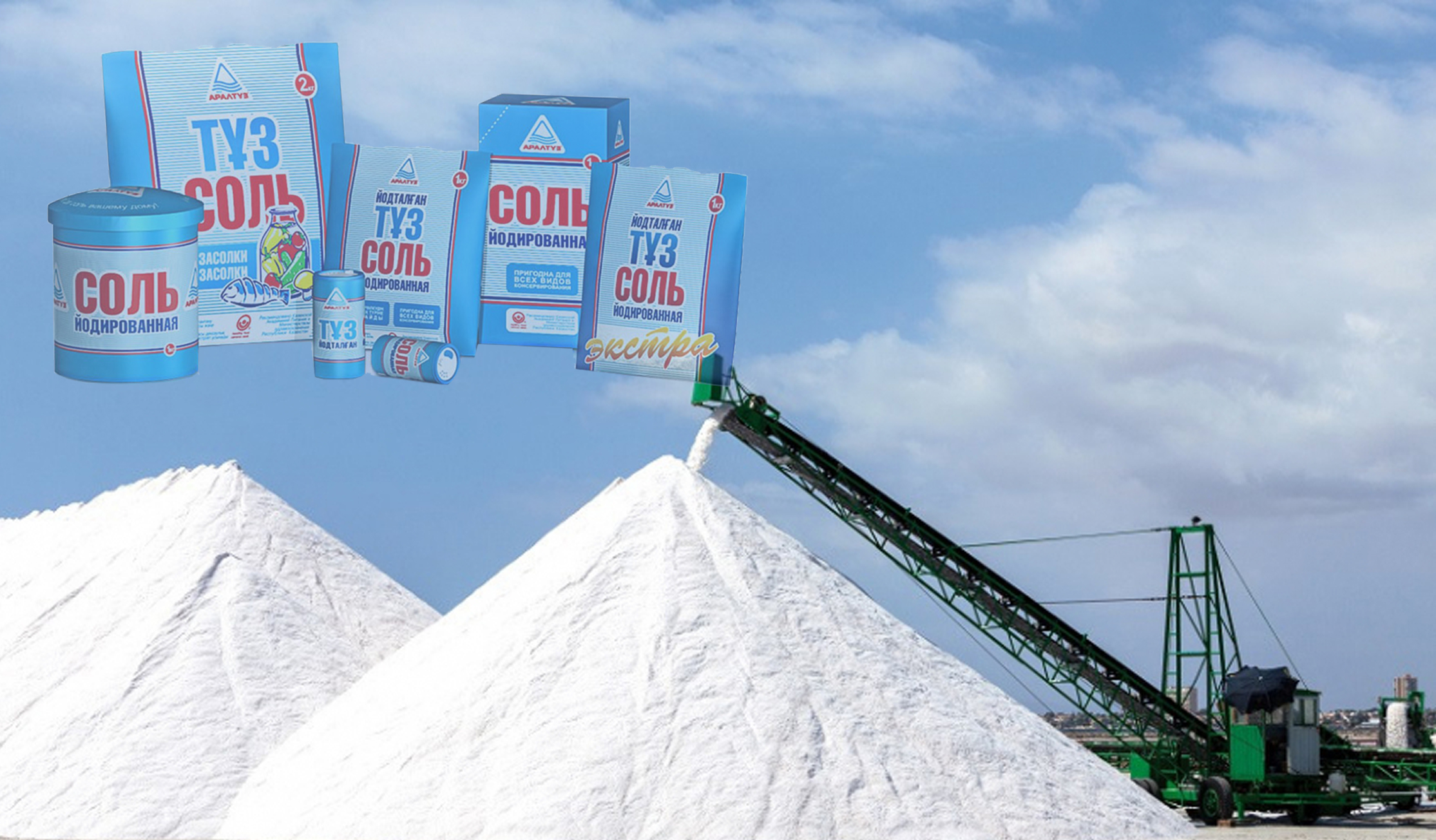 Тоғыз айдың табысы толайым