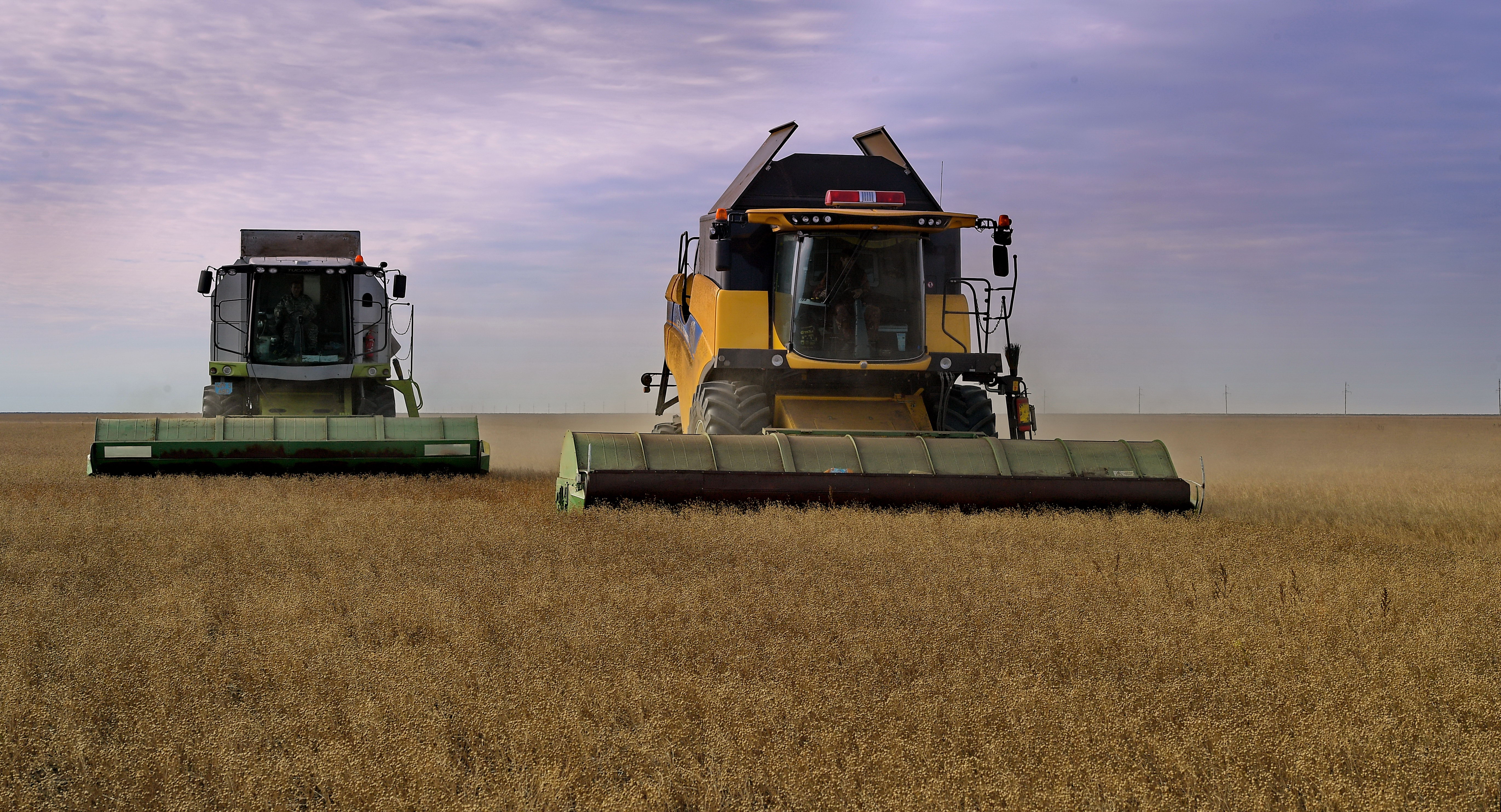 Кереку астыққа кенелді