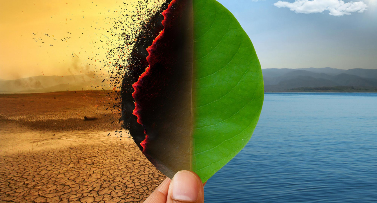 Азиялық клитордың фотосуреттері