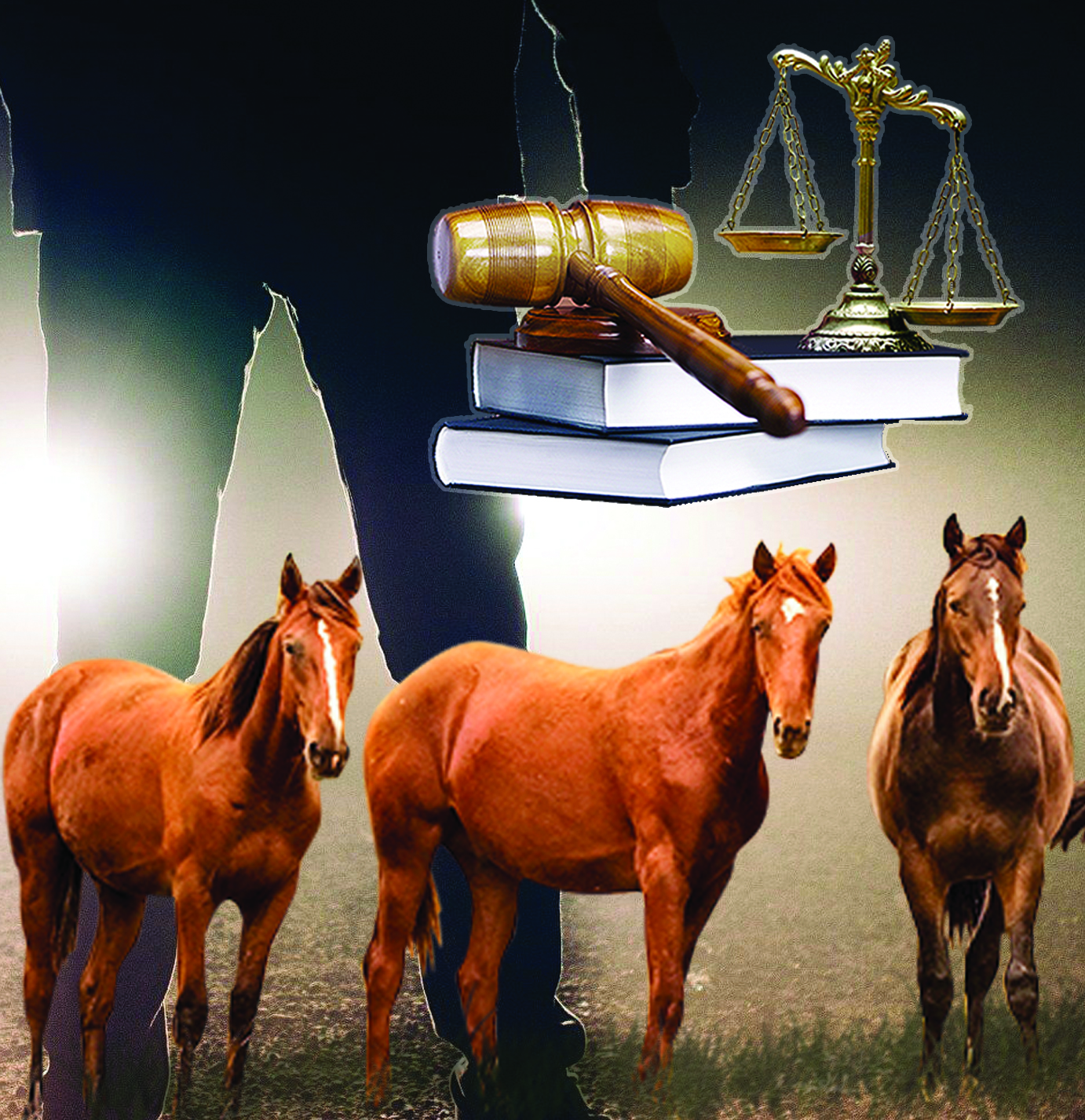 Қараусыз мал апатқа ұрындырады