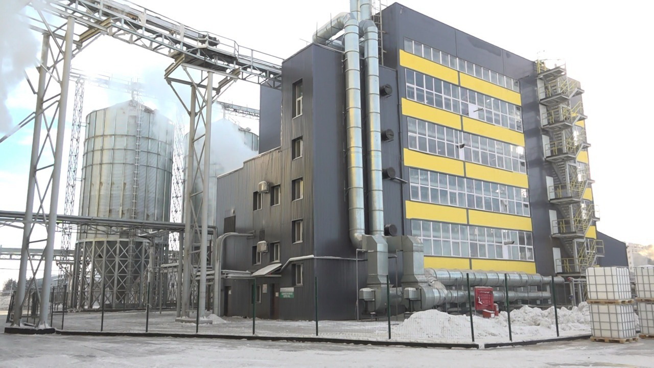 Семей күнбағыс майын экспортқа шығарады