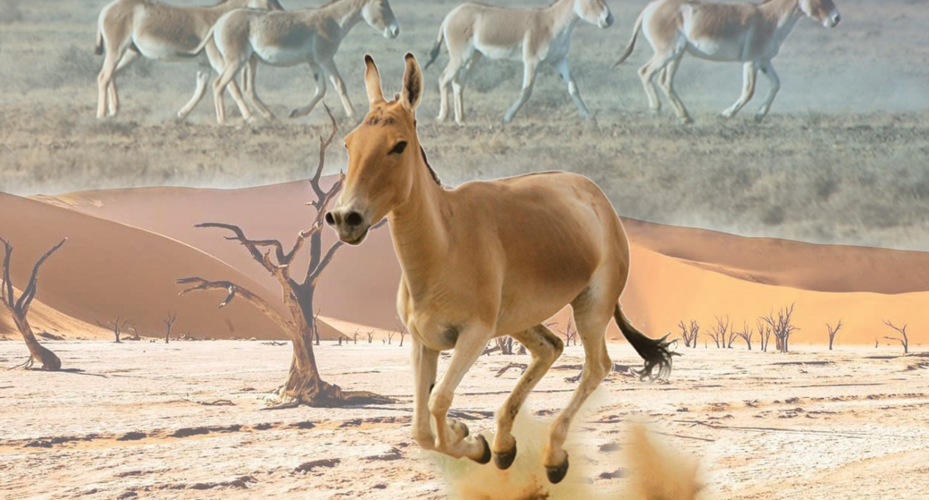 Ескі орыс лесбиянкимен порно