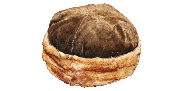 Шәкен Аймановтың әйгілі бөркі
