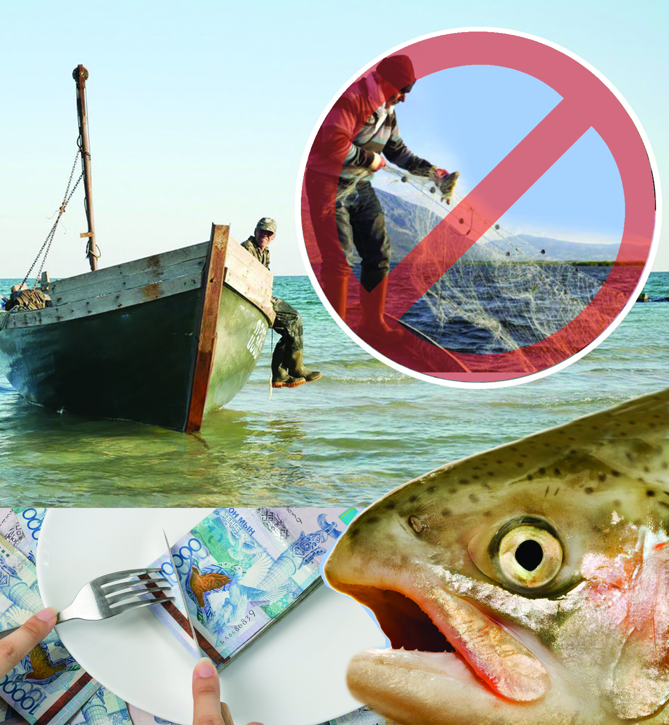 Аукционның әуресі немесе балықшылар неге браконьерге айналды?