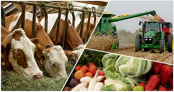 Шаруашылықты дамытуға мүмкіндік мол