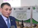 Сүйектен түрлі бұйым жасайтын ақтөбелік шебер
