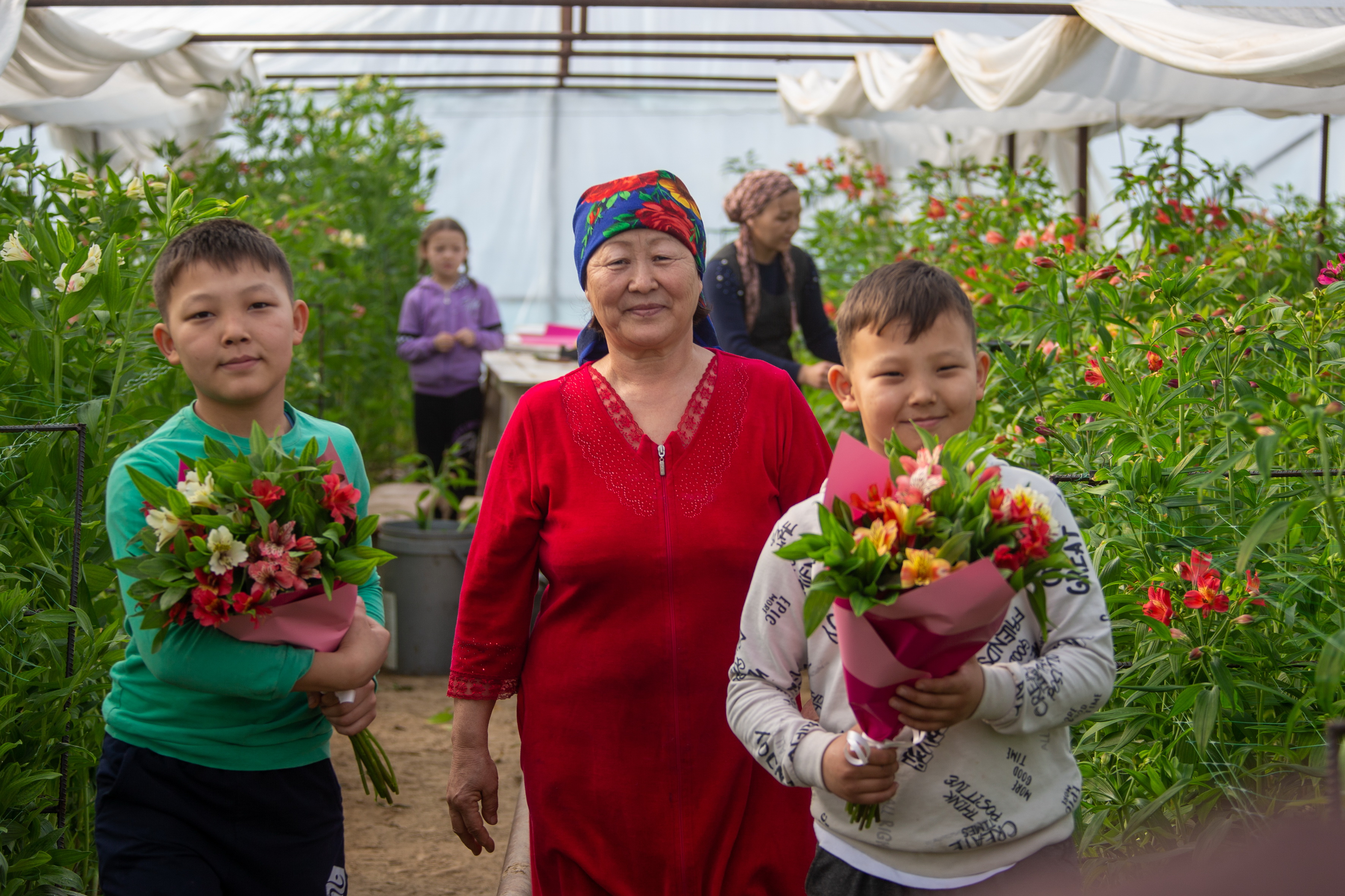 Перу гүлін өсірген ана