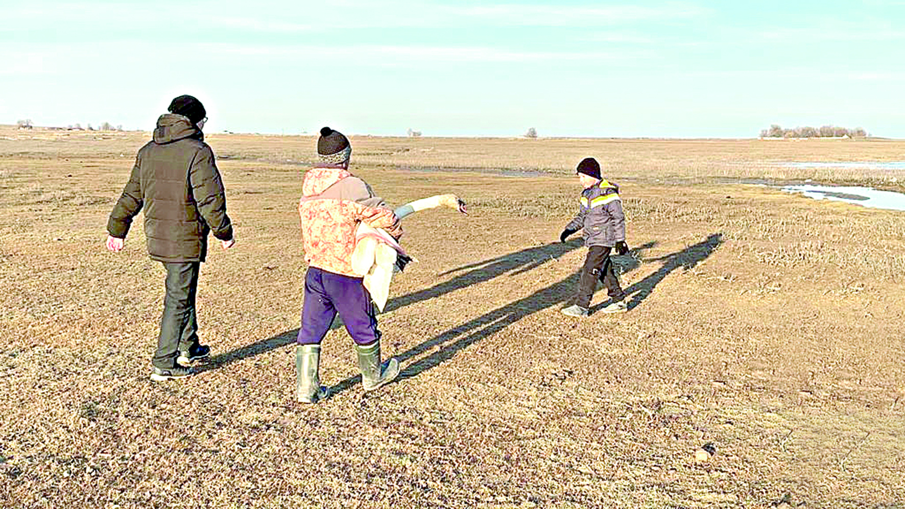 Айдынға аққу оралды