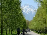 Алматының жасыл желегі биологиялық түрде өңделеді
