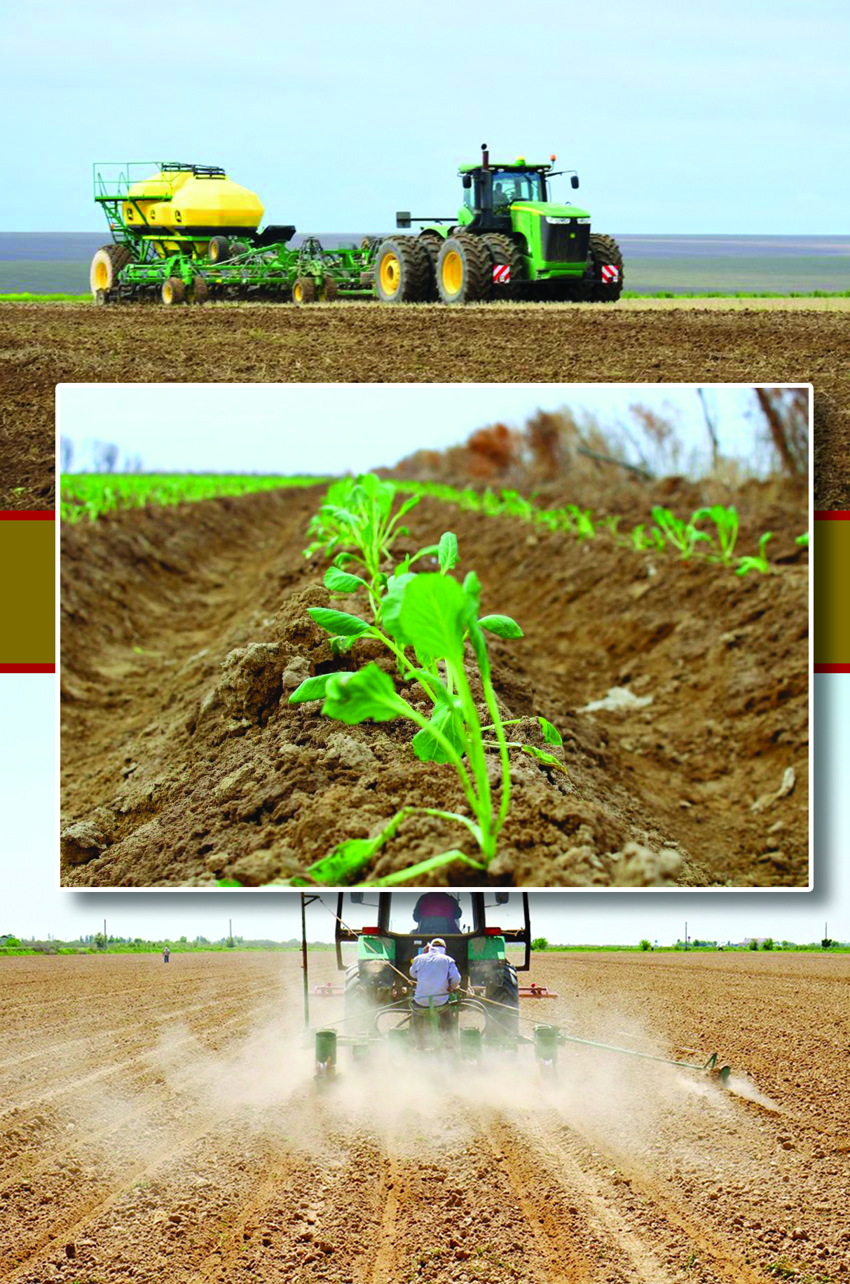 Ылғал жапқанның ырыздығы мол