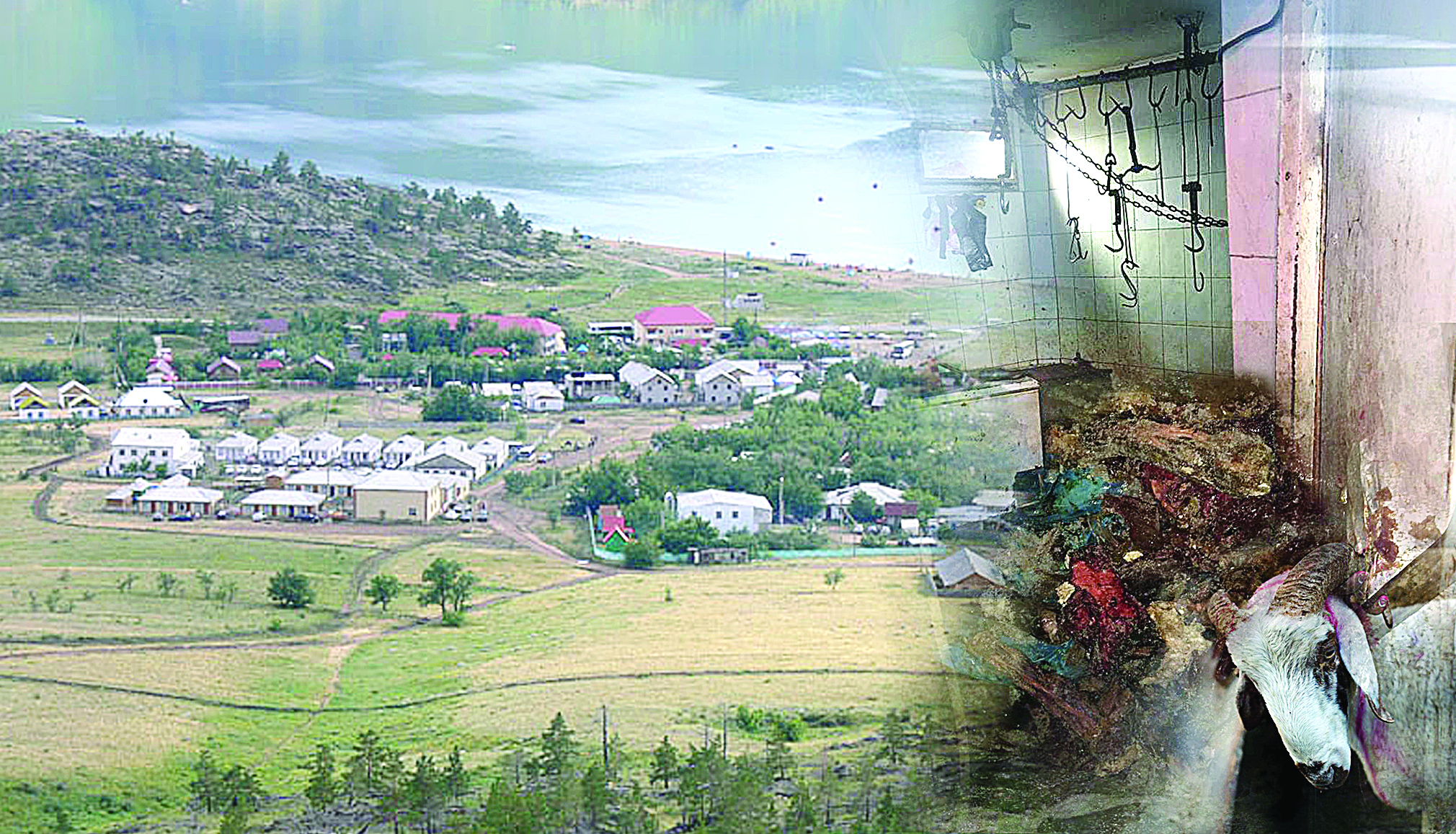 Сарсаңға салған қасапхана