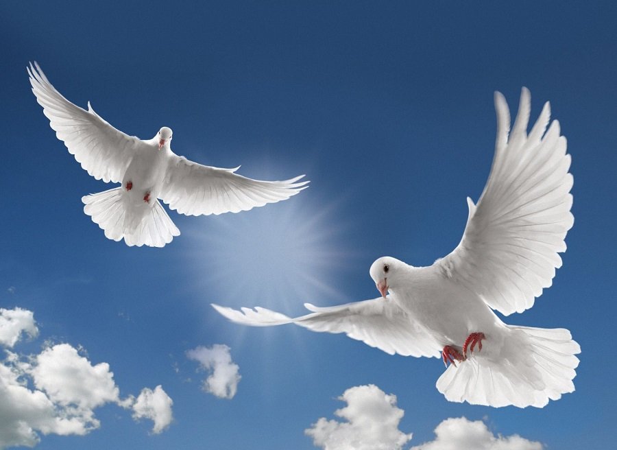 Бейбітшіліктің берік қамалы