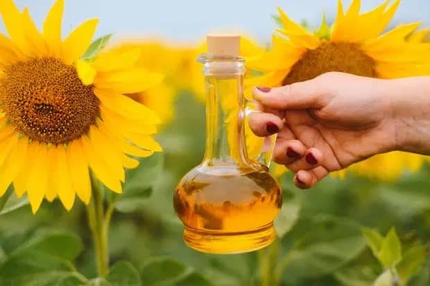 Күнбағыс майын көбірек өндіреміз
