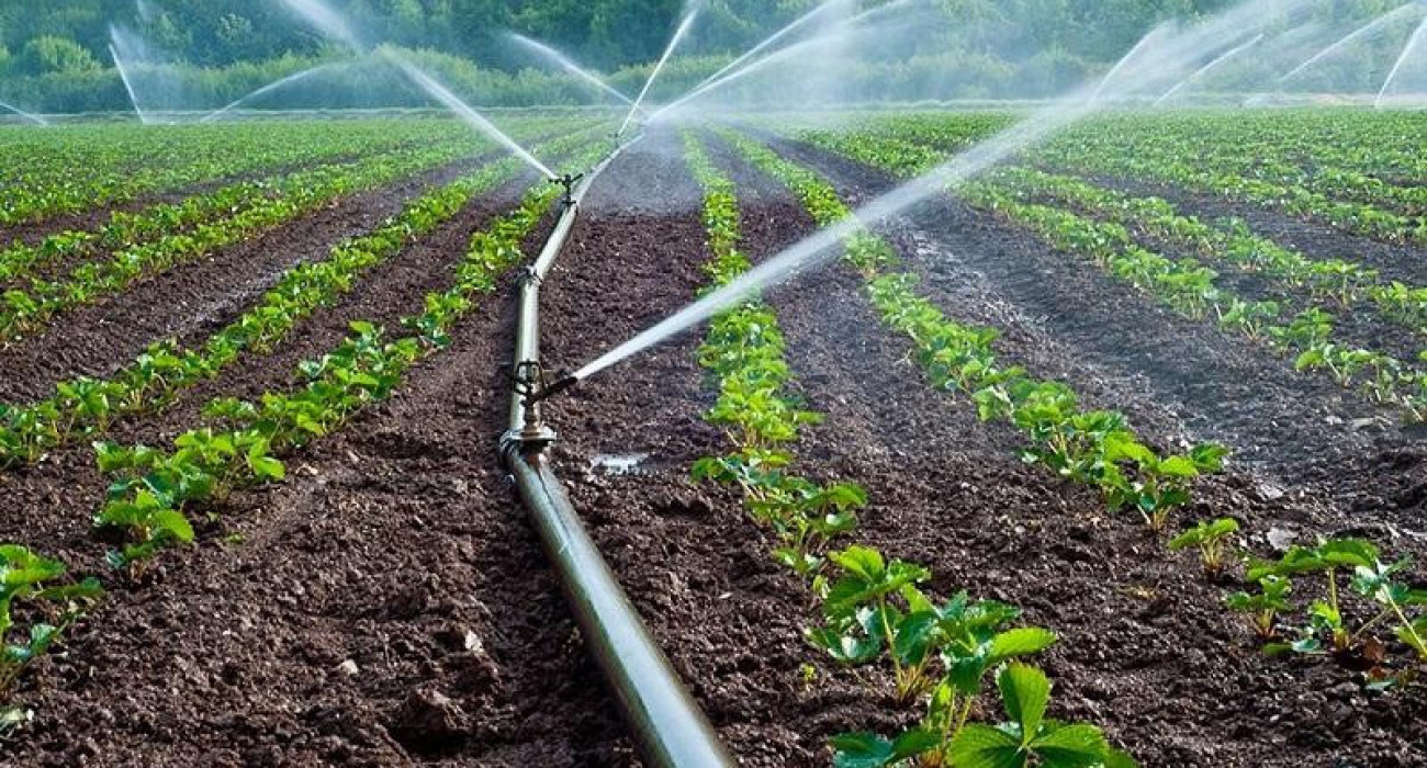 Ең сексуалды қызыл үйлену көйлектері Юбка астынан жақыннан түсірілген сурет