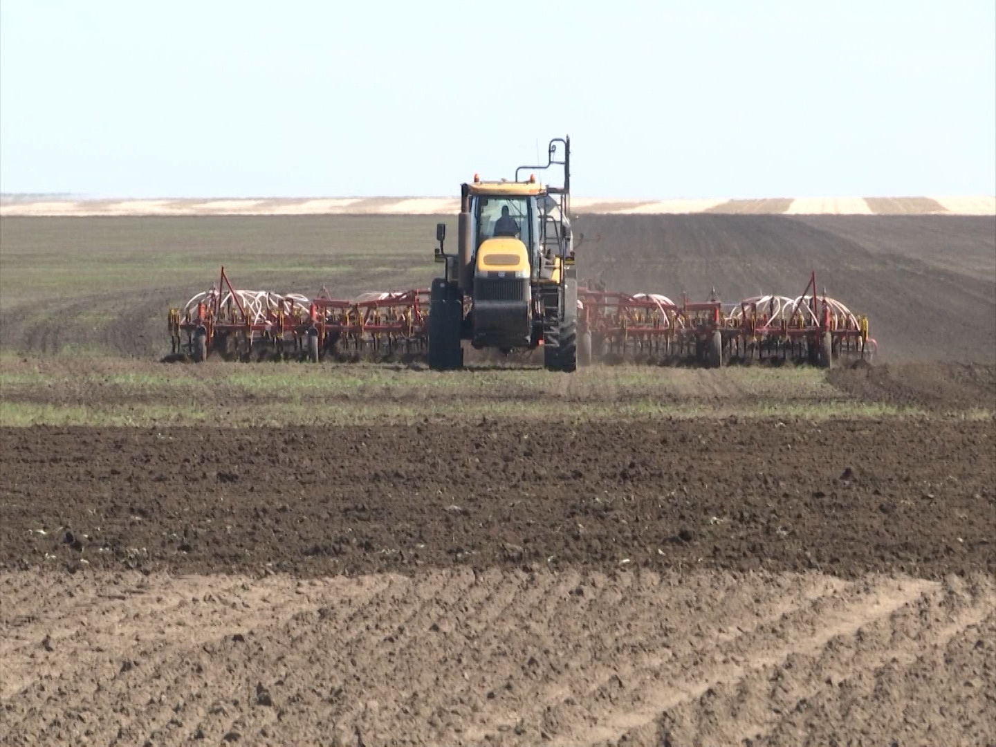 Танапта тіршілік қызған шақ