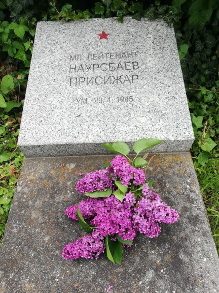 чсми