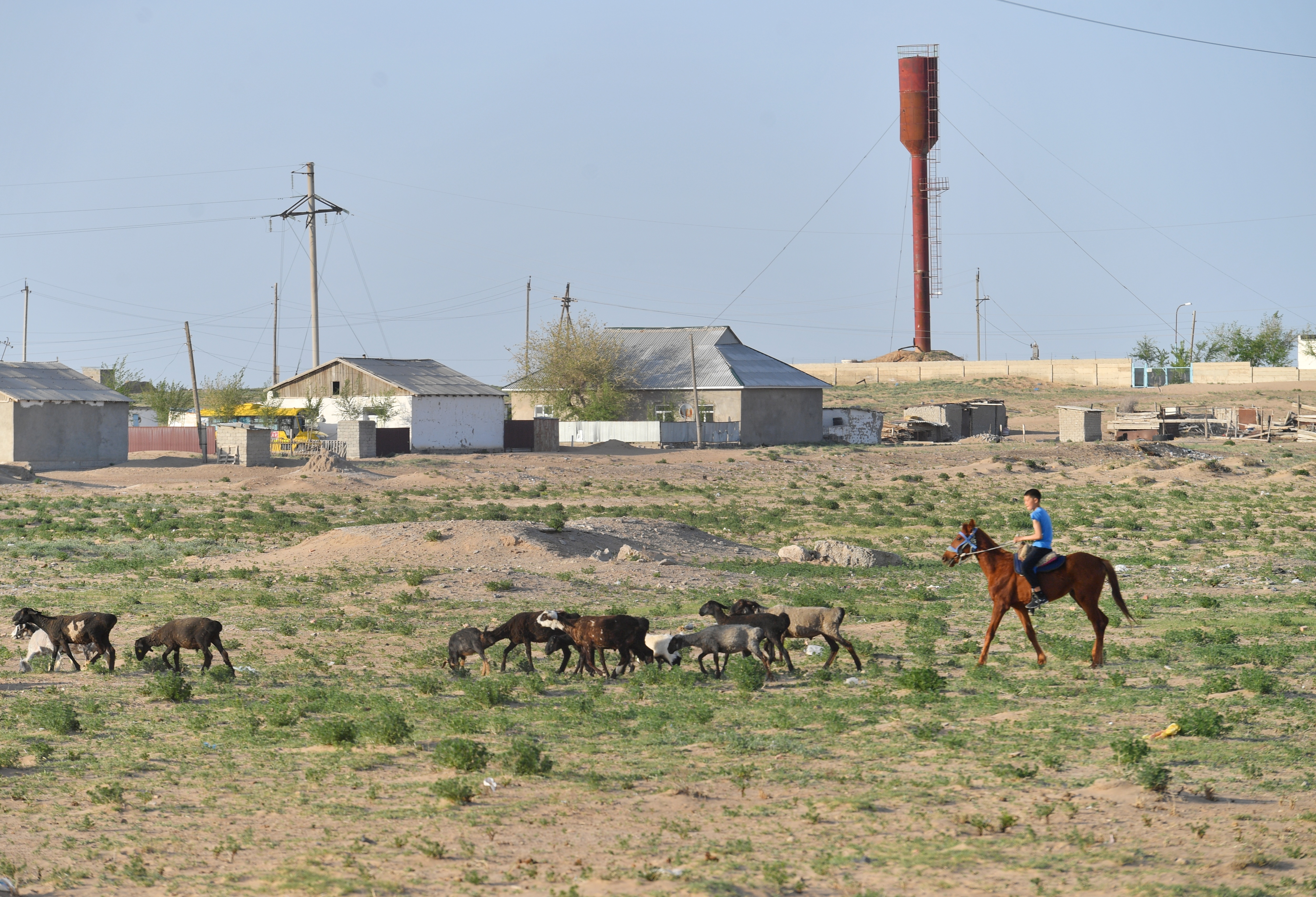 Тұрағы – ауыл, тұрмысы – қала