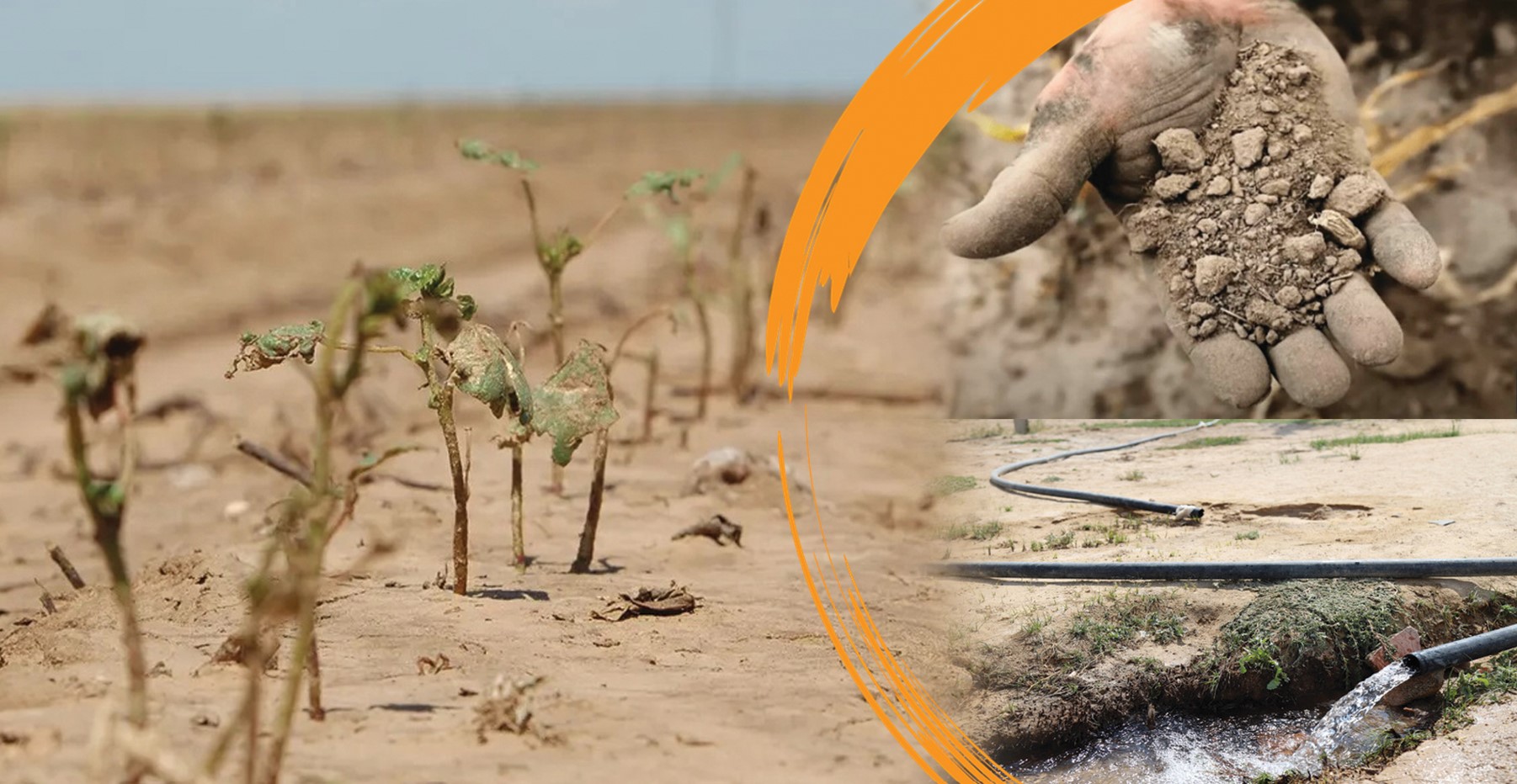 Шаруалар шығыны 7 млрд теңгеге жетуі мүмкін