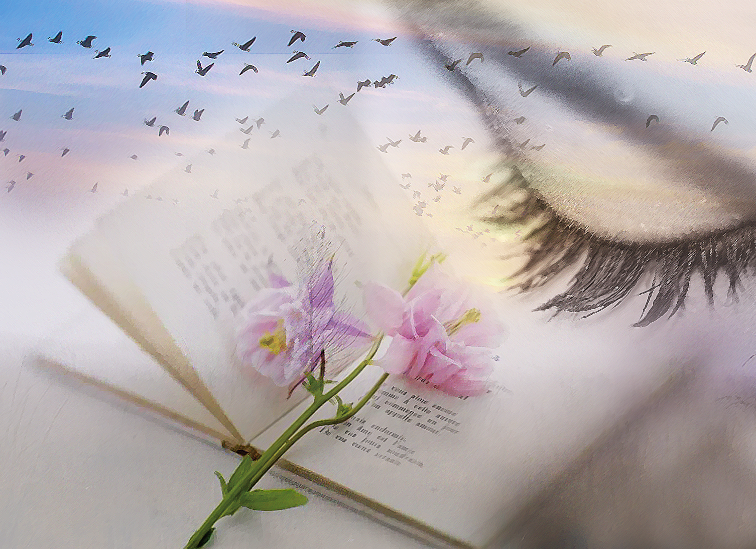 «Көктем сенің көзіңде жүр сіркіреп»