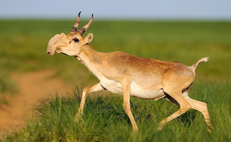 Жаз бойы титықтатты