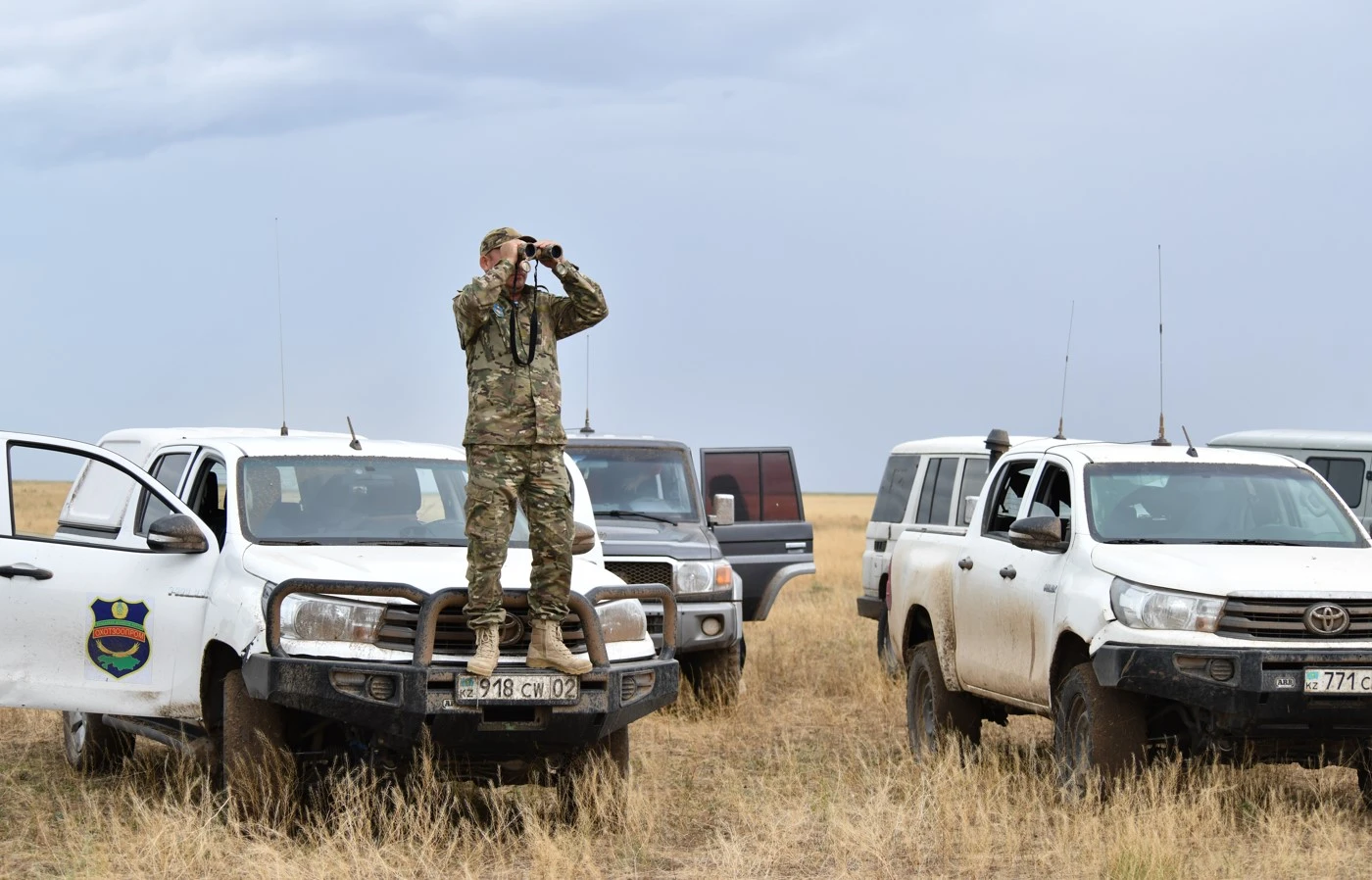 Бөкеннен келген бейнет