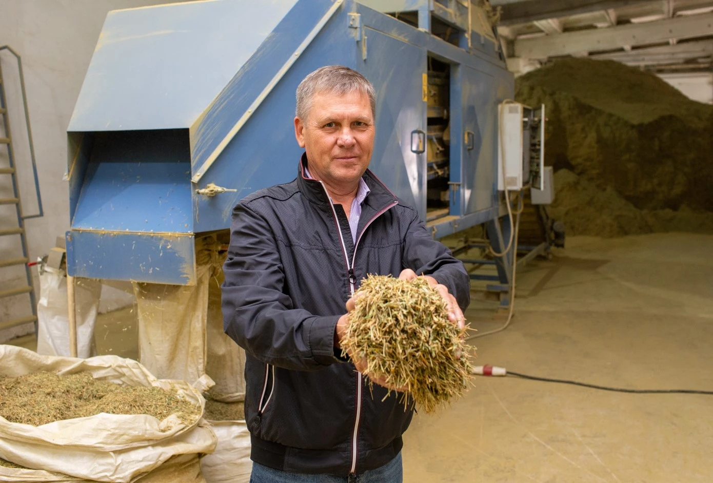 Шипалы шөпті ұқсатқан