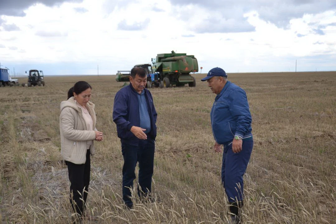 Сын сағаттағы сергелдең