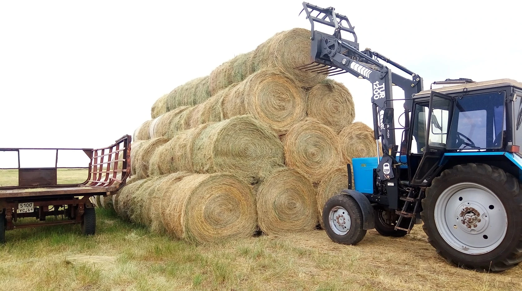 Жемшөп жылдағыдан қымбат