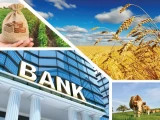 Агробанк туралы идея банктерден қолдау таппады