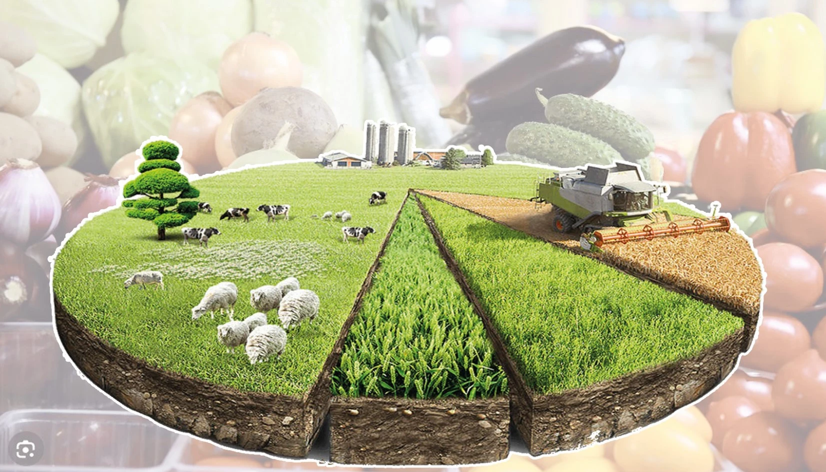 Ақсулық шаруаларға ауыр тиген салық