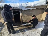 ШҚО тұрғынының қойларын белгісіз аң қырып кеткен