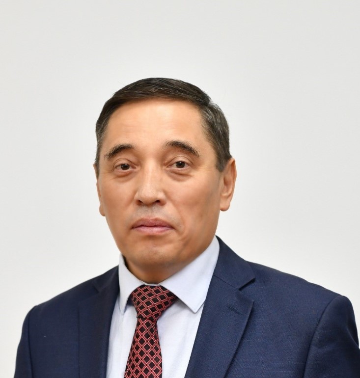 сми
