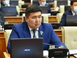 Ойына келгенін істейтіндер көбейді – депутат