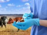 Ветеринария қызметін күшейтуге қаржы бөлінді