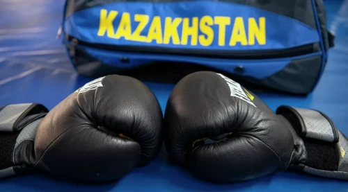 Өзбекстан озып кетті. Бокстан Странджа кубогінде Қазақстан қай орынға тұрақтады?