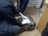 Қылмыстық топ жүргізуші куәлігін заңсыз берумен айналысқан – полиция