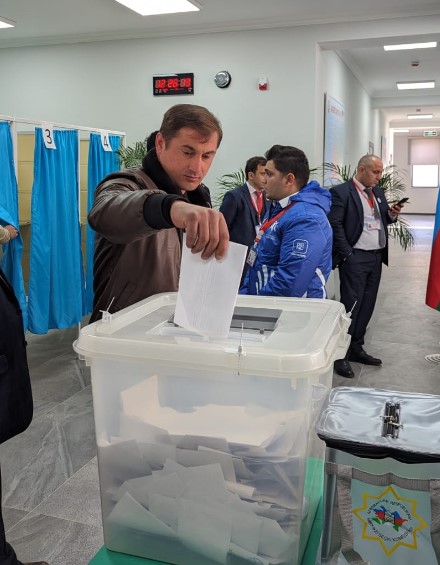 выборы