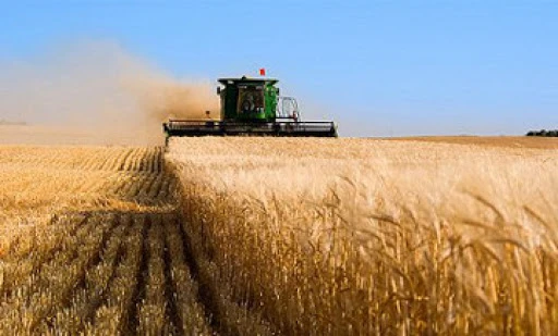 Егіс алқаптарын әртараптандыру