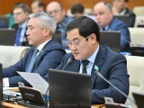 Риэлторлық қызметке қатаң мемлекеттік бақылау қажет - депутат