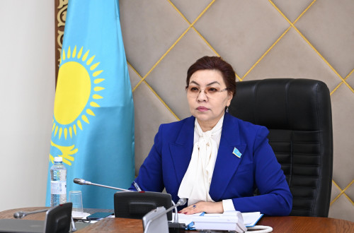 Бибігүл Жексенбай ТүркПА комиссиясының отырысына қатысты