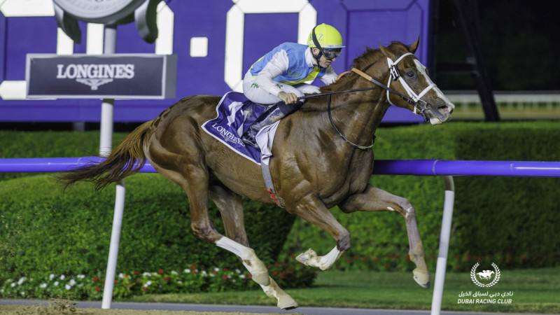 Кабирхан қатысатын Dubai World Cup бәйгесі тікелей эфирде көрсетіледі